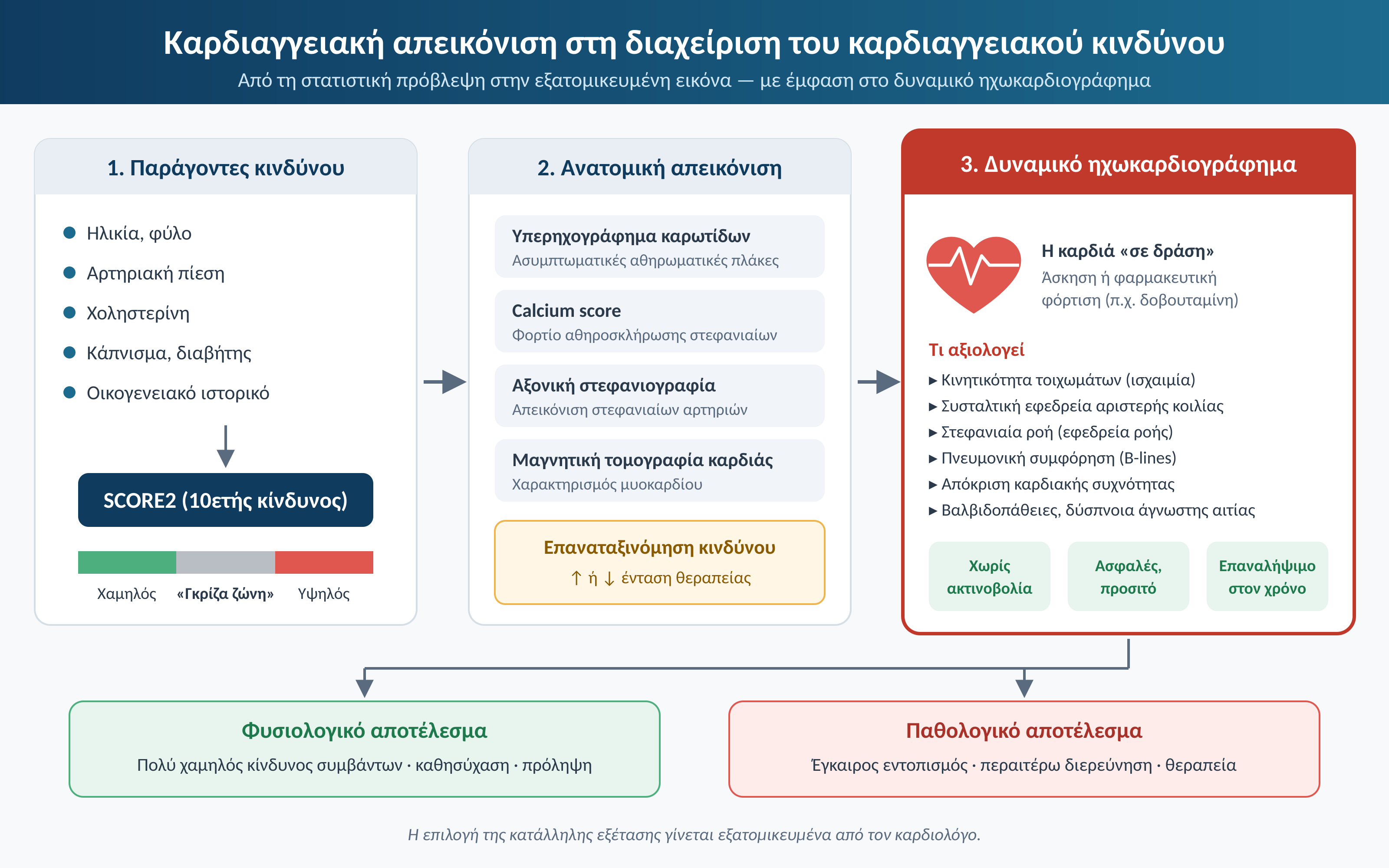 Καρδιαγγειακή απεικόνιση: βλέποντας τον κίνδυνο πριν γίνει συμβάν